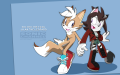 Lilah and her partner Vultro in Sonic Channel style.